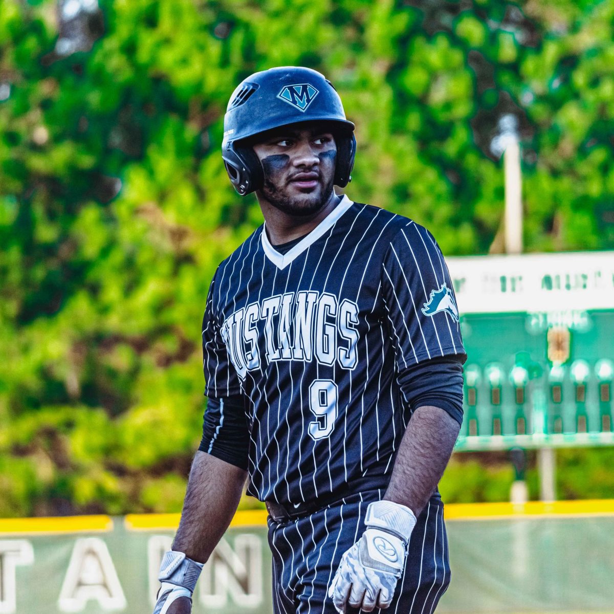 Willie_Prince_Kennesaw_Mountain_baseball.60